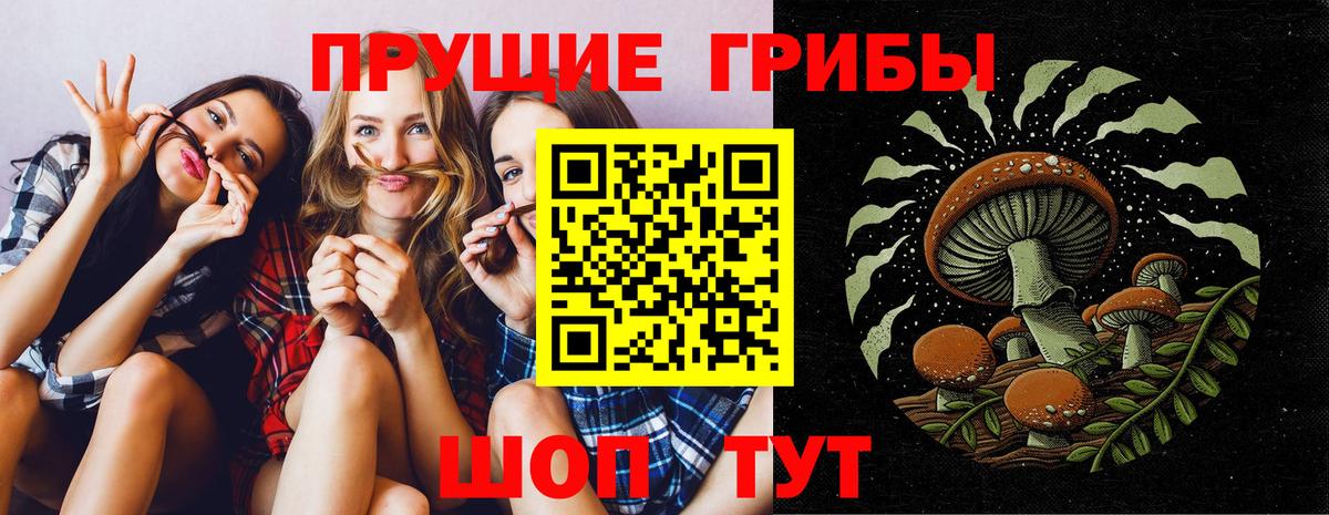 Галлюциногенные грибы прущие грибы  Вход с VPN  купить закладку  Алатырь 